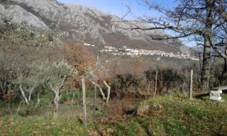 POLICETA-SAN RUFO